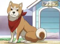 战国武将重生变汪星人，这部爆笑的动漫不容错过