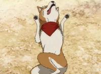 战国武将重生变汪星人，这部爆笑的动漫不容错过