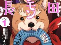 织田信长转生变成了狗！日本人真会玩