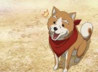 织田信长在二次元有多惨，变成反派还算好的结局