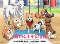 《织田肉桂信长》里宠物的“前世”——真田幸村