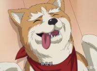 织田信长和明智光秀谈恋爱？这部动漫脑洞太大，调侃历史