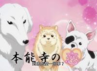 织田信长和明智光秀谈恋爱？这部动漫脑洞太大，调侃历史