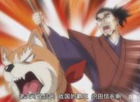 织田肉桂信长：大将军转世成狗，难以抵挡少女的投喂