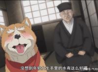 织田肉桂信长：大将军转世成狗，难以抵挡少女的投喂