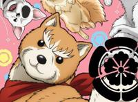 「STAFF」《织田肉桂信长》制作阵容公开2020年一月播出