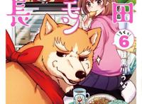 战国武将转生汪星人的搞笑漫画，「织田肉桂信长」TV动画化