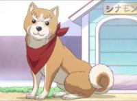 织田肉桂信长：生不如加速猪，死不如剪刀狗，战国信长成为柴田犬