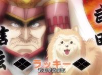 织田肉桂信长：生不如加速猪，死不如剪刀狗，战国信长成为柴田犬