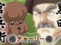 织田肉桂信长：生不如加速猪，死不如剪刀狗，战国信长成为柴田犬