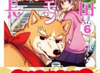 漫画《织田肉桂信长》决定TV动画化