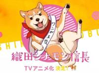 漫画《织田肉桂信长》决定TV动画化