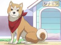 1月新番《织田肉桂信长》开播，第六天魔王转世被明智光秀告白