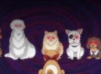 1月新番《织田肉桂信长》开播，第六天魔王转世被明智光秀告白