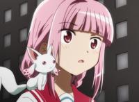 魔圆外传第一季完结，虽然整体不错，但是和本传比起来逊色太多