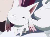 魔圆外传：果然是小圆，三集定律再现？这三话剧情怎么样