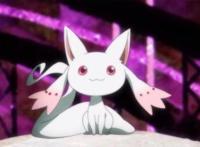 《魔法少女小圆》，希望与绝望的对决（内含外传剧透）