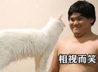 泰国小哥COS幽灵公主，可爱白猫沦为坐骑，魔性笑容最为抢镜