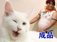 泰国小哥COS幽灵公主，可爱白猫沦为坐骑，魔性笑容最为抢镜