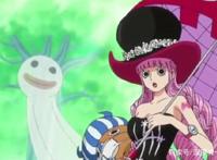 海贼王：两年多不见的索隆，居然和幽灵公主谈起恋爱？