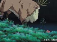 《幽灵公主》：惹怒了森林？它的愤怒你承受不起！吓死人了！
