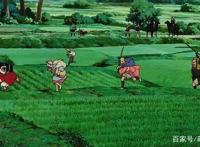 幽灵公主：豆瓣8.8分！宫崎骏21年前发现的问题，至今还有人不懂