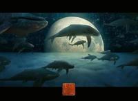 《雄狮少年》高分遇冷细品国漫电影票房Top10