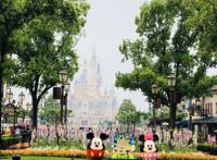 进入玩具总动员的世界，满足孩子的一切幻想！