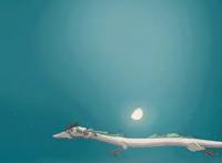 在宫崎骏77岁生日的今天，我们一起回忆他的七部经典动漫