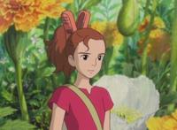 《借东西的小人阿莉埃蒂》，微缩世界的少女，无法延续的爱情