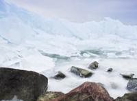 你对冰河世纪所有的好奇心，都能在这里得到满足丨蝌学荐书