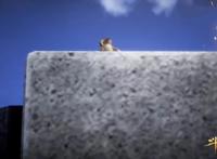 斗罗大陆：高级魂师大赛现场惊现大松鼠，致敬《冰川时代》？