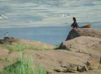 魔女宅急便：童年女神cos，这个童话级别的还原，令人沉醉