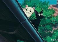 《魔女宅急便》：魔女送快递？其实这是个关于成长的故事