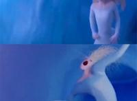 学三年动画一战封神，将《冰雪奇缘》变《进击的巨人》奇行种？