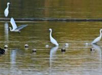 早读丨37万元黄金首饰被同事当垃圾丢了！女子傻眼……