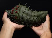 动漫周边店手办推荐：《风之谷》王虫超还原