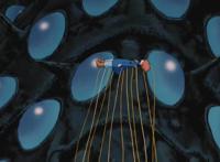 40年前的动漫《风之谷》，讲了什么？为什么人人看后都觉得深刻？