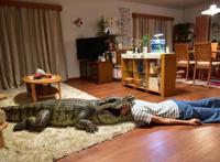 真人版《回家看到我老婆装死》特报公布，这是要？