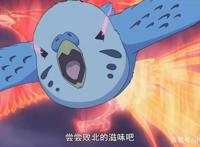 厨病激发男孩：出现吧，永恒之力风暴！