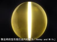 绝美帅哥竟被正义少年表白？1月周边最贵的动画，你看了吗？