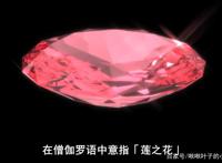 一月新番：偶像、搞笑、转生、魔法少女，一切尽为你所爱