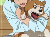 一月新番：偶像、搞笑、转生、魔法少女，一切尽为你所爱