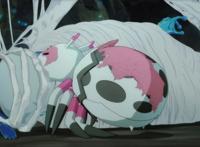 《转生成蜘蛛又怎样！》：蜘蛛子艰苦求生，丝血反杀大蛇