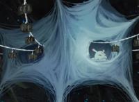 《转生成蜘蛛又怎样！》：蜘蛛子艰苦求生，丝血反杀大蛇