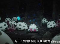 转生成蜘蛛又怎么样：看着看着就变成了美食番了