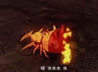 转生成蜘蛛又怎么样：前世女主是黑长直，蜘蛛娘大战巨龙