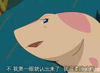 《你看起来好像很好吃》，感人又可爱的电影