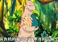 《你看起来还像很好吃》：感情从来不分草食还是肉食