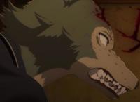 十月新番：像小王子驯服玫瑰一样，迷你兔也能驯服大灰狼吗？